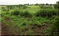 ST5226 : Farmland near Lytes Cary by Derek Harper