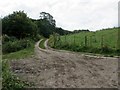 Farm track leading to Lees Lane