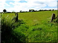 An open field, Killymorgan