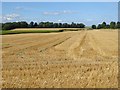 NZ2214 : Field of stubble near High Coniscliffe by Oliver Dixon