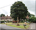 North Perrott village green