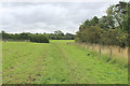 Bridleway heading East from Menethorpe