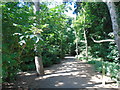 Entrance to the red squirrel trail