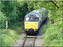 SK2849 : Diesel locomotive 31206 at a foot crossing on the Ecclesbourne Valley Railway by Ian Calderwood