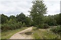 Track at Clearmount, Chobham Common