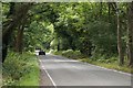 Staple Hill, the road crossing Chobham Common