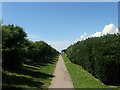 Pattersons Walk, Ferring