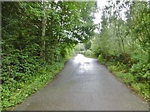 SJ1126 : Llanrhaeadr-ym-Mochnant, minor road by Mike Faherty