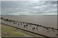 TA1028 : Banks of the Humber by DS Pugh