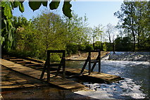 SP5207 : River Cherwell: weir at Parson's Pleasure by Christopher Hilton