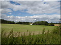 Park Cottages across the fields