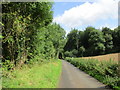 Lane to Clatford by Broom Copse