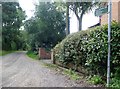 Public Bridleway R63 towards Nettlestone, Isle of Wight