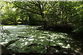 Small pond on the edge of Epsom Common