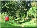 Dog litter bin in Shepherd