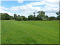 Water meadows in the valley of the Roden