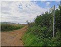 Public Bridleway SW22 towards the Military Road, West Wight