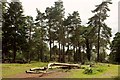 SX8884 : Picnic area, Haldon Forest by Derek Harper