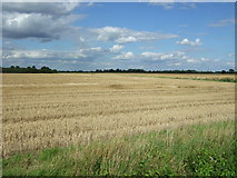 TL5063 : Stubble field near Eye Hall Farm by JThomas