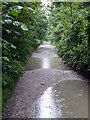 Flooded track near Pill Farm