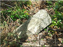 TL7691 : Old Boundary Stone by Keith Evans