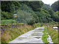 Track near Pill Farm