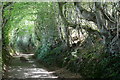 View up Furnace Lane from start of climb