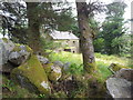M1231 : Derelict Farmhouse, Loch na nArd-doiriÃº , County Galway by DeeEmm