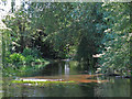 The River Colne west of Arundel Road