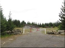NY7479 : Disused quarry, Wark Forest by Graham Robson