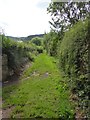 Footpath in Bickleigh