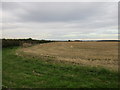 Stubble field near Knapthorpe