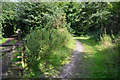 Neath Port Talbot : Footpath