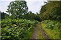 Neath Port Talbot : Bryn Cycleway