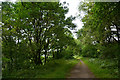 Neath Port Talbot : Bryn Cycleway