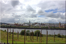 C4316 : Mute Meadow, River Foyle and central Derry by Robert Eva