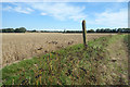 Farmland still hanging on