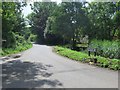 Chine Lane, Yafford, West Wight