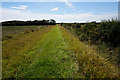 TA0649 : Path leading to Easingwold Farm by Ian S