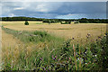 Fields near Cairnley