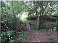 Footbridge over drainage ditch