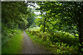 Neath Port Talbot : Bryn Cycleway