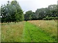 Mowed footpath