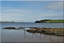 NX6444 : Ross Bay by Neil Theasby