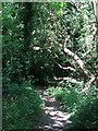 Footpath by the River Colne south of Iver Lane