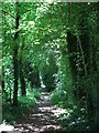 Footpath by the River Colne south of Iver Lane (2)