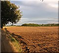 Crop fields south of Bramerton