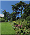 The Shrubbery, Cusworth Park