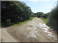 The lane to Boscawen Rose