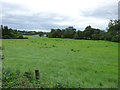 NU1019 : Field behind Eglingham vicarage by Stephen Craven